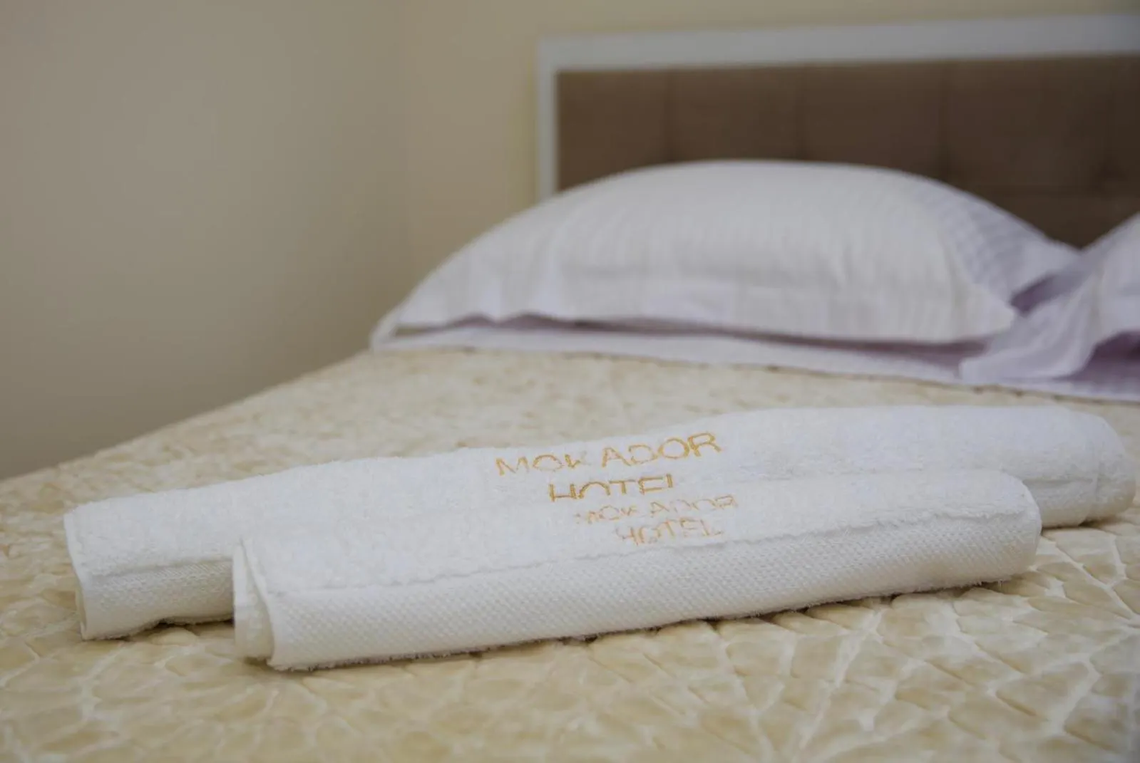 Bar Hotel Mokador Shkodër Arnavutluk
